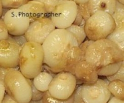 CIPOLLINE IN AGRODOLCE