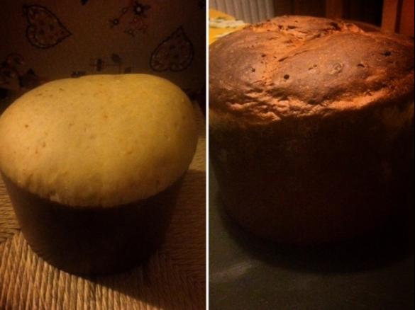 Panettone al cioccolato