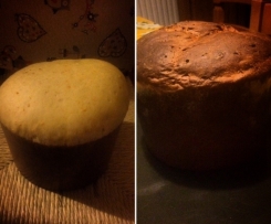 Panettone al cioccolato