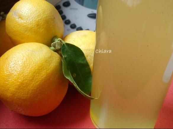 Liquore al bergamotto