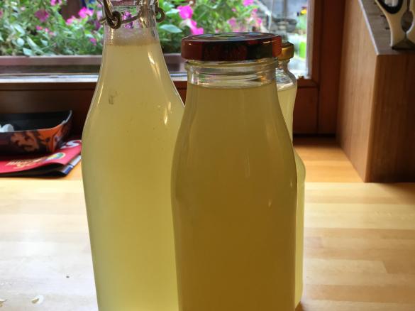 Sciroppo allo zenzero e limone-contest sciroppi