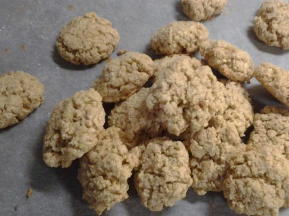 BISCOTTI D'AVENA E COCCO