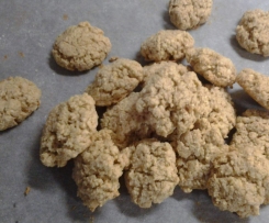 BISCOTTI D'AVENA E COCCO