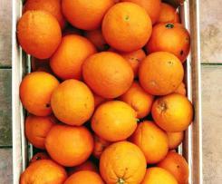 Marmellata bio di arance