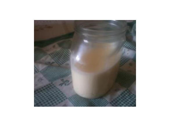 Maionese con yogurth cotta.