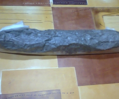 Salame di Cioccolato bimby