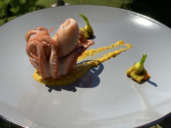 Moscardini raggio di zucca