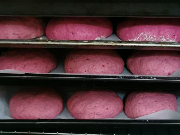 IMPASTO PANINI ROSSI