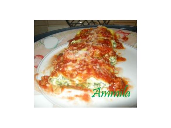 FAZZOLETTONI AL VAPORE