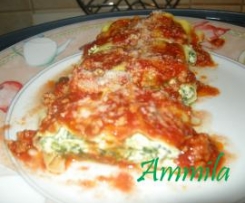 FAZZOLETTONI AL VAPORE