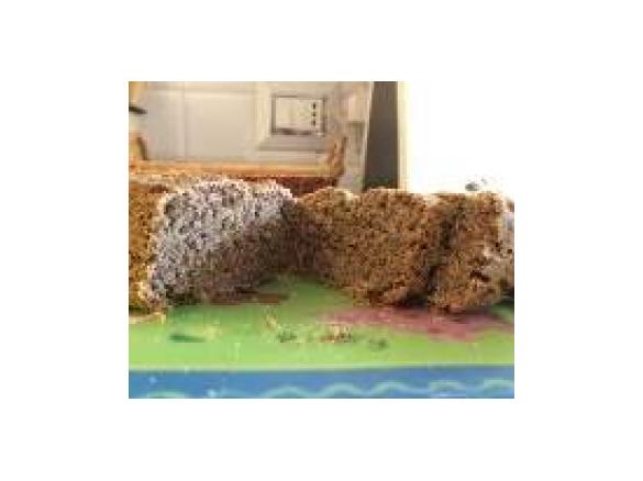 PANE AI CEREALI CON SESAMO E SEMI DI ZUCCA