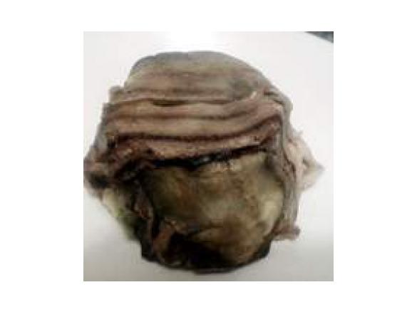 timballini di melanzane vegetali con piselli