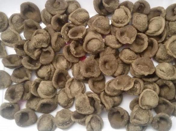 Orecchiette grano arso