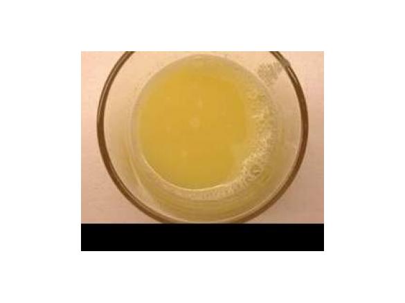 Bevanda zenzero canarino