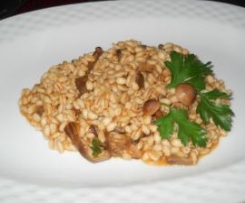 Finto Risotto con Funghi Chiodini 