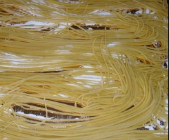 Spaghetti di pasta fresca all'uovo