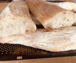 Pane tipo “ciabatta” con il lievito madre