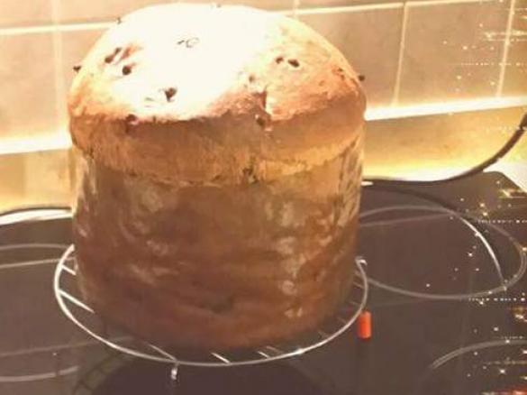 Panettone versione con lievito di birra o lievito madre