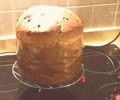 Panettone versione con lievito di birra o lievito madre