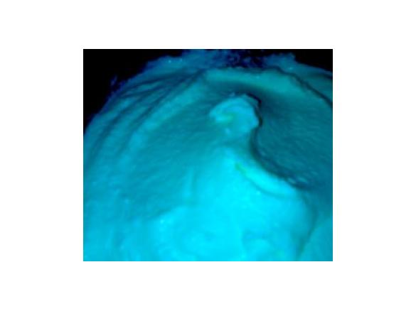 Gelato alla vaniglia