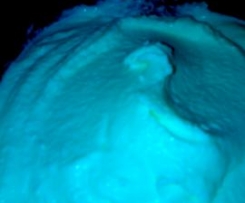 Gelato alla vaniglia