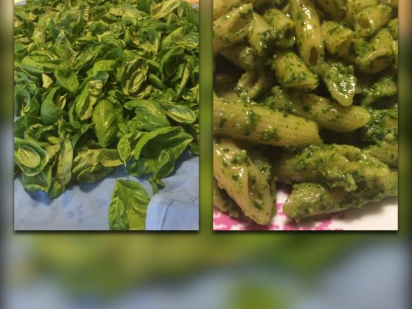 Pesto alla genovese