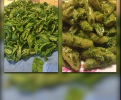 Pesto alla genovese