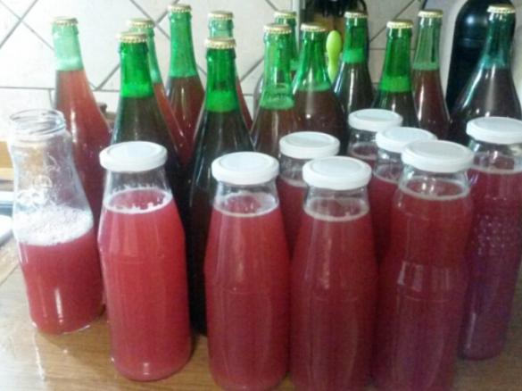 Succo di frutta di melagrana