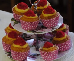 Muffin Cardinali - Contest