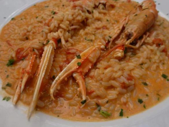 Risotto alla Crema di Scampi