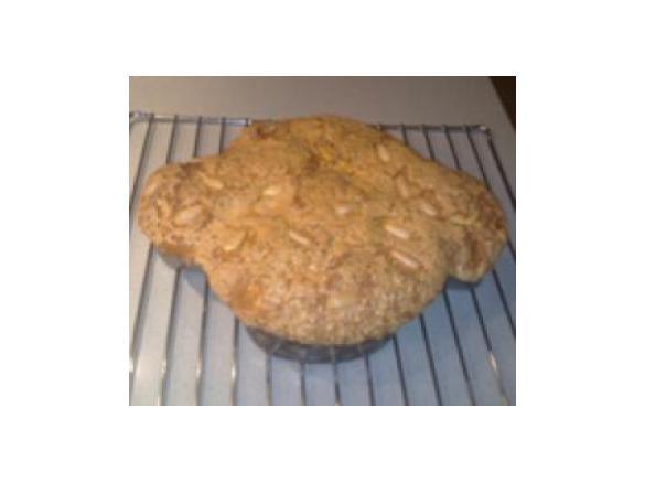 SUPER COLOMBA BUONISSIMA E VELOCISSIMA!!!