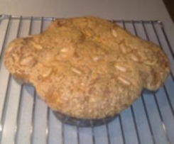 SUPER COLOMBA BUONISSIMA E VELOCISSIMA!!!