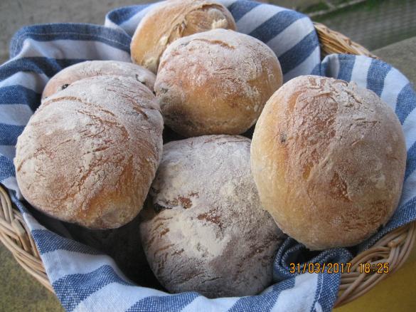 LE VERE PUCCE SALENTINE(CONTEST PIC NIC)