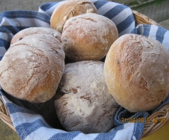 LE VERE PUCCE SALENTINE(CONTEST PIC NIC)