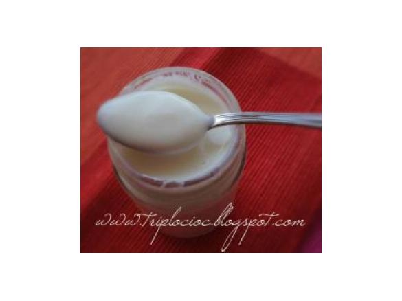 Yogurt home made