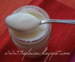 Yogurt home made