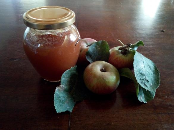 Confettura di mele di campo (dal sapore di mela appena colta)