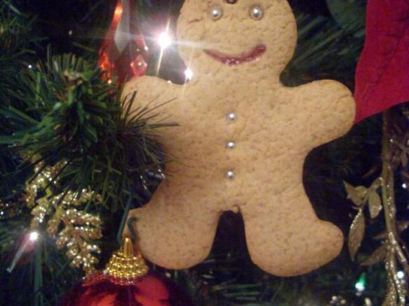 Biscotti pan di zenzero