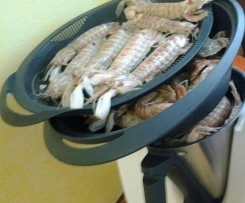 CANOCCHIE  COTTE SUL CESTELLO E VAROMA