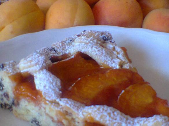 CROSTATA CIOCCO- ALBICOCCA