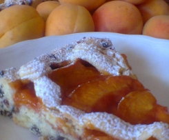 CROSTATA CIOCCO- ALBICOCCA