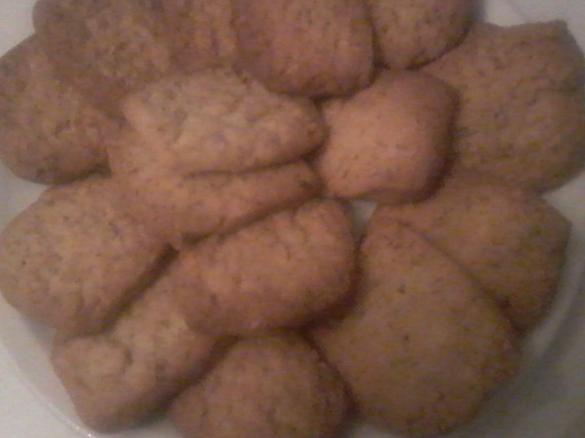 TALLERI DELLA ZIA LIVIA