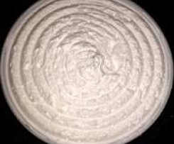 panna di soja vegana