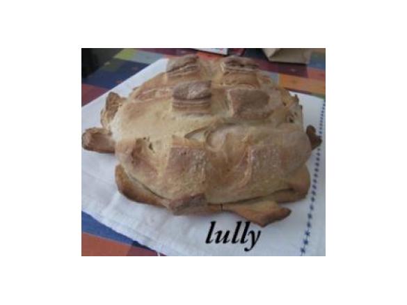 pane tipo TARTARUGA con pm