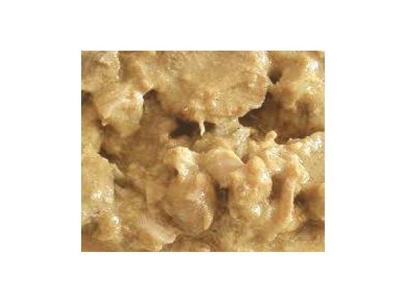 Agnello con Topinambur