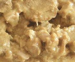 Agnello con Topinambur