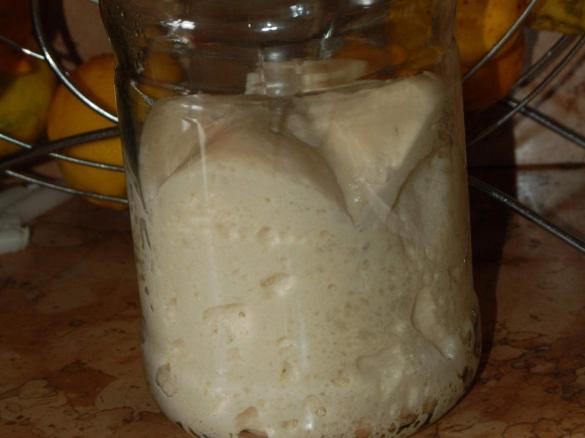 Rinfresco Lievito Madre ( Naturale )