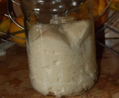 Rinfresco Lievito Madre ( Naturale )