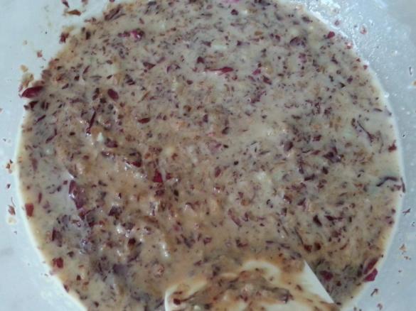 Crema di Gorgonzola e Radicchio