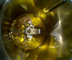 condimento per verdure alla griglia